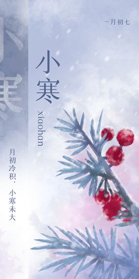 原创二十四节气小寒手绘插画海报