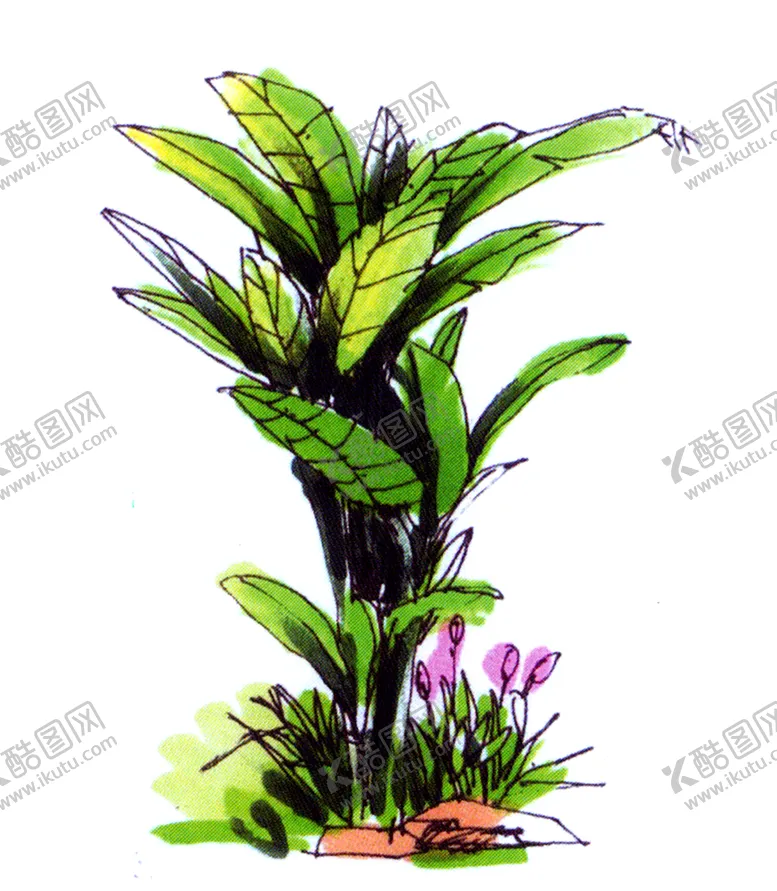 编号：69414206301531512787【酷图网】源文件下载-绿色植物