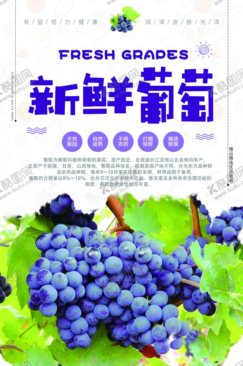 编号：84064906232240089019【酷图网】源文件下载-葡萄