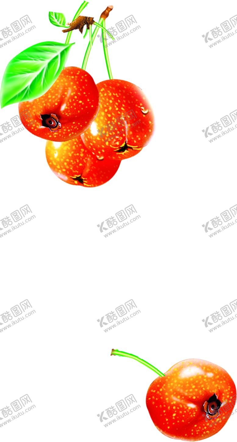 编号：30196410181533263634【酷图网】源文件下载-山楂