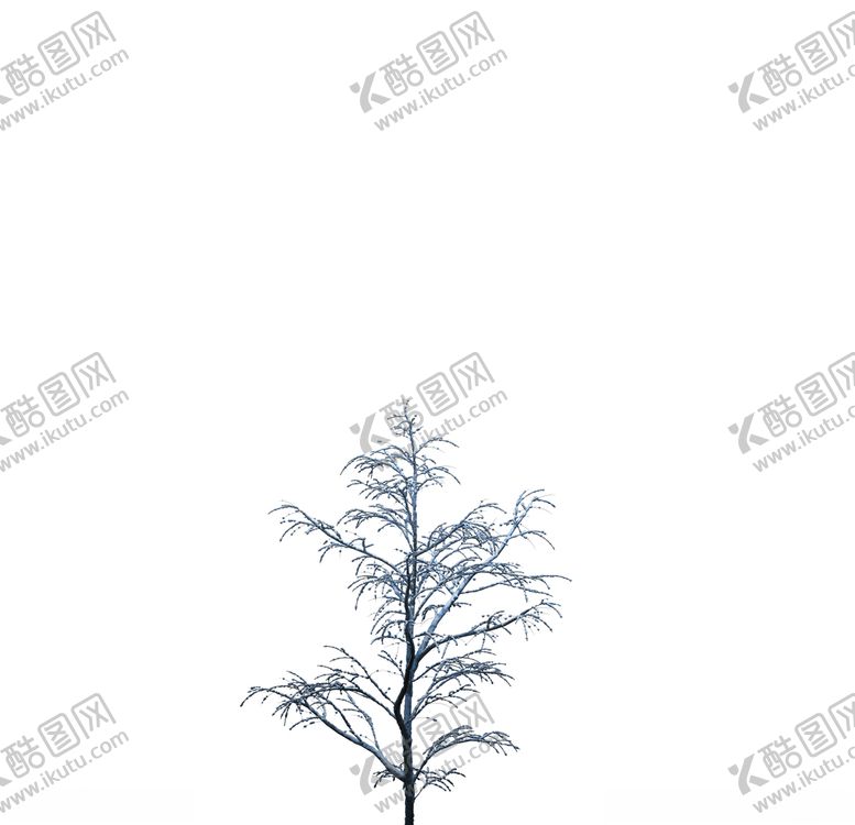 编号：53606510020216282441【酷图网】源文件下载-树木