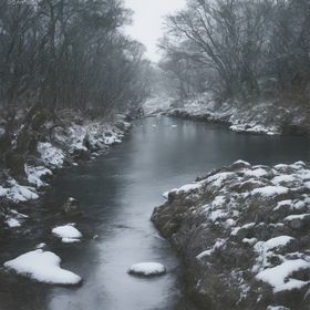 冬季雪景