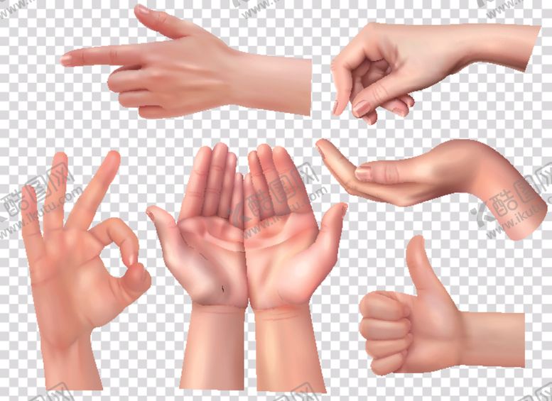 编号：25077109210352035922【酷图网】源文件下载-手势动作