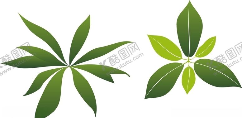 编号：99538809302316003613【酷图网】源文件下载-树叶