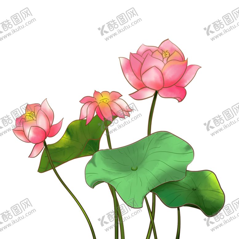 编号：82858909240004416242【酷图网】源文件下载-荷花元素