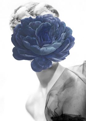 黑白艺术花卉装饰画图片
