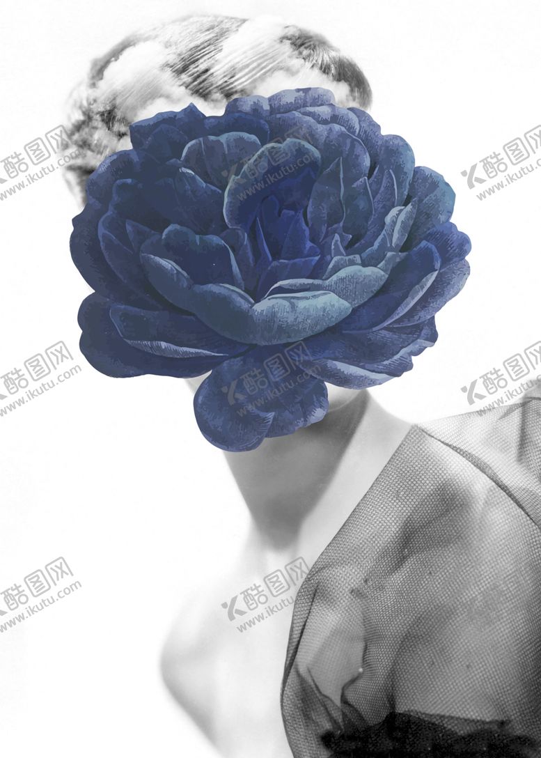 编号：93687010230615171924【酷图网】源文件下载-黑白艺术花卉装饰画图片