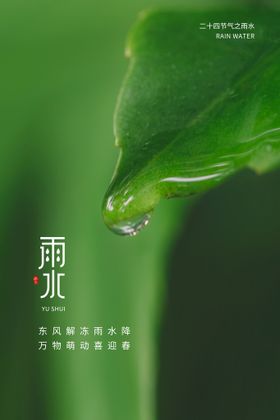 雨水春季海报