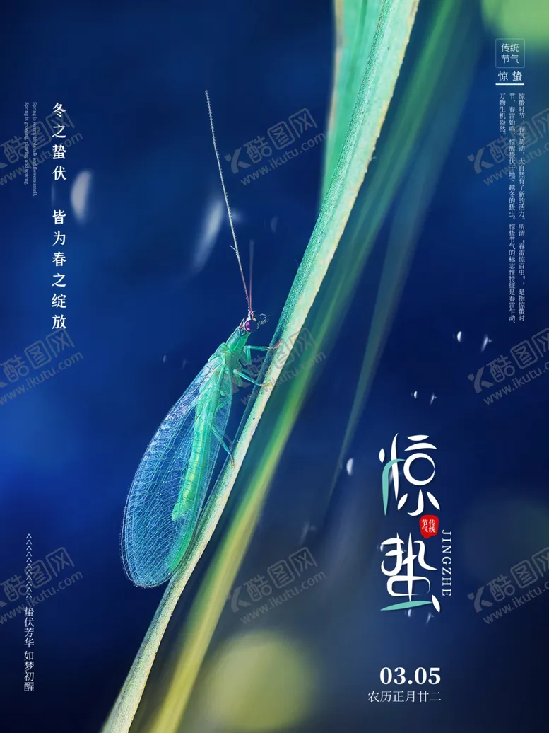 编号：19307903241815382770【酷图网】源文件下载-简约惊蛰节气海报