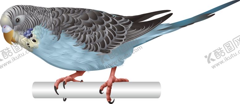 编号：74006709250123429499【酷图网】源文件下载-手绘鸟