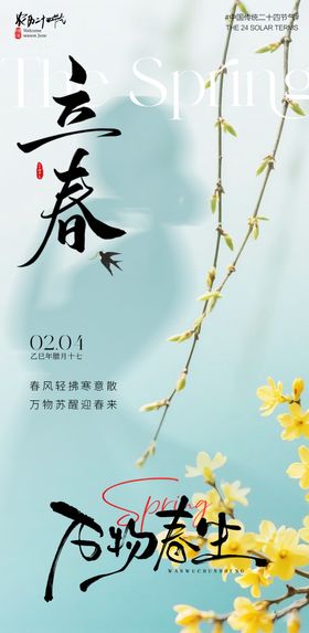 医美立春节气海报