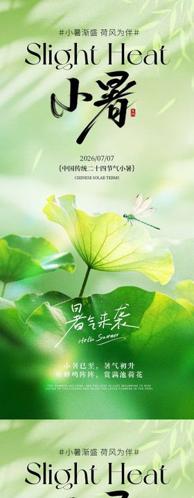 小暑荷叶简约意境海报