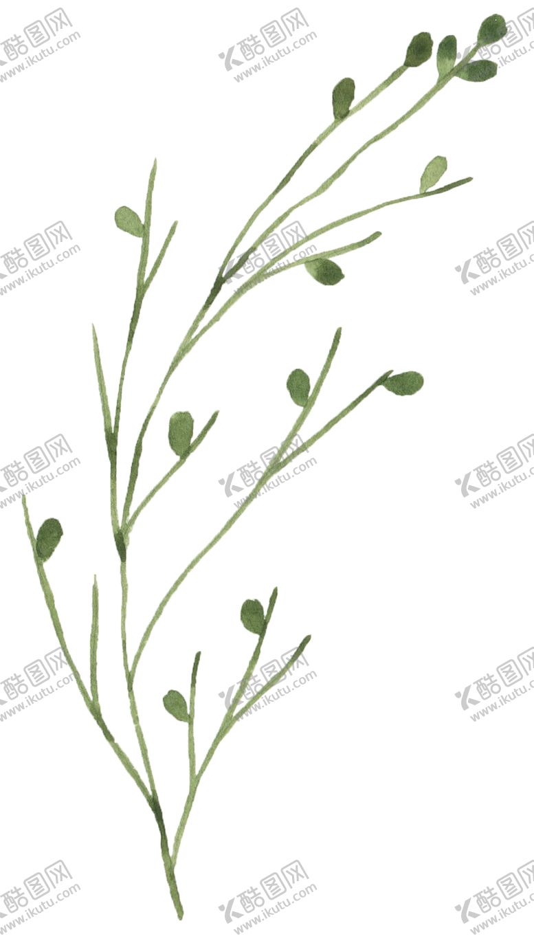 编号：24294005041859221447【酷图网】源文件下载-手绘植物花卉