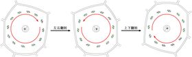 细胞质的流动方向
