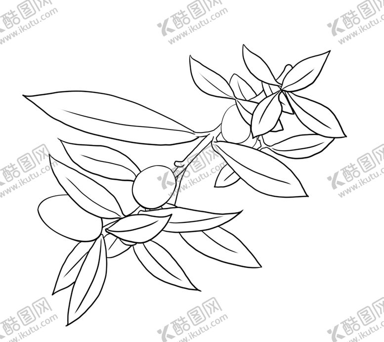 编号：43552309170924421042【酷图网】源文件下载-橄榄