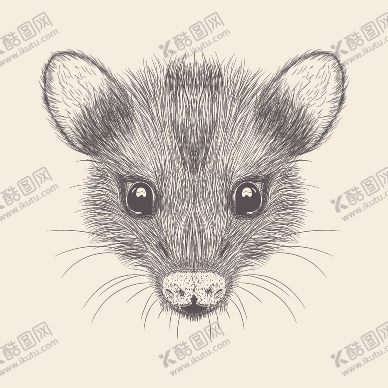 编号：79044309300225206409【酷图网】源文件下载-动物铅笔画