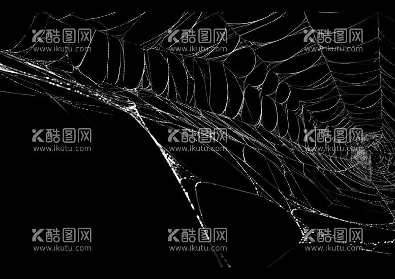 编号：73356911250300108295【酷图网】源文件下载-蜘蛛网