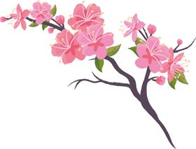樱花素材