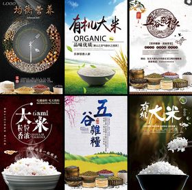 多样大米宣传海报
