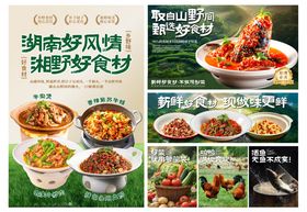 湘野食材海报