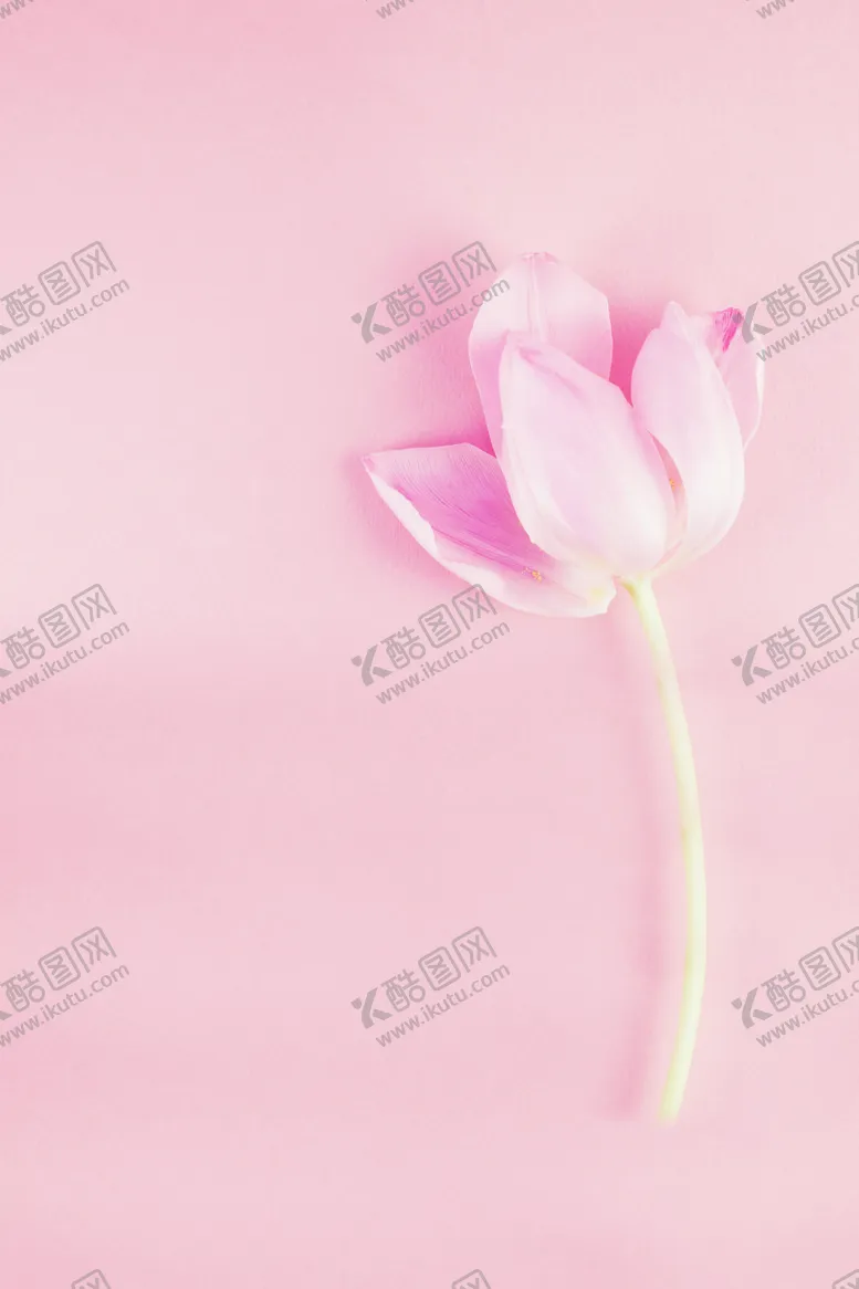 编号：35220006302048007073【酷图网】源文件下载-七夕素材
