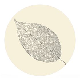 叶子叶脉茶业矢量叶子