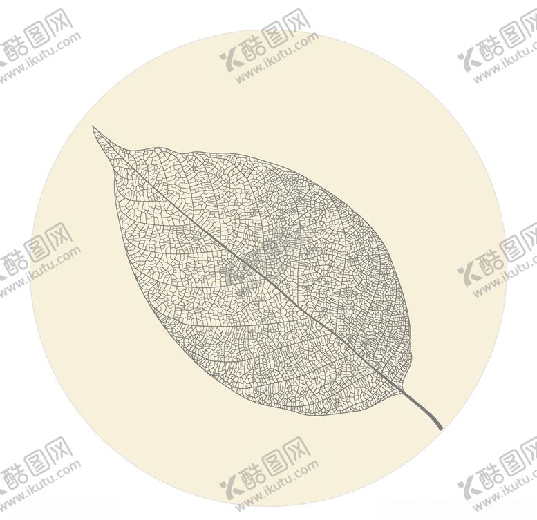 编号：60211010270629049362【酷图网】源文件下载-叶子叶脉茶业矢量叶子