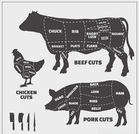 家禽解剖分割结构图矢量牛肉