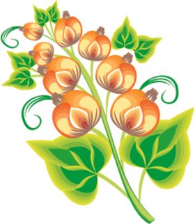 枝条