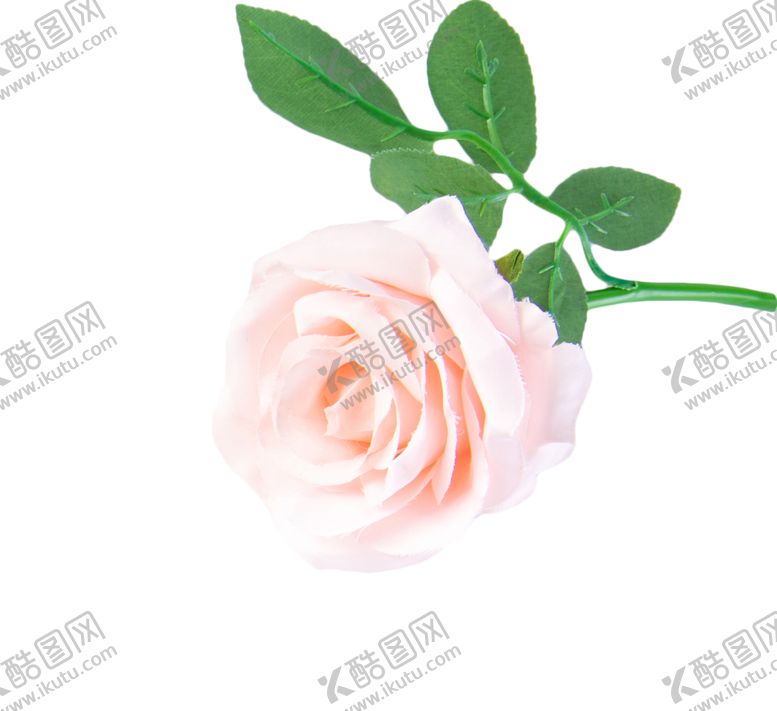 编号：92285505070055134232【酷图网】源文件下载-浪漫情人节520七夕玫瑰花