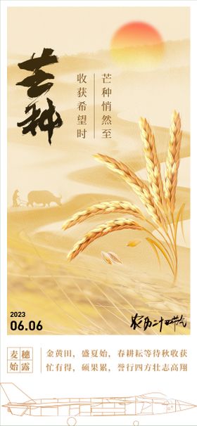 芒种节气海报