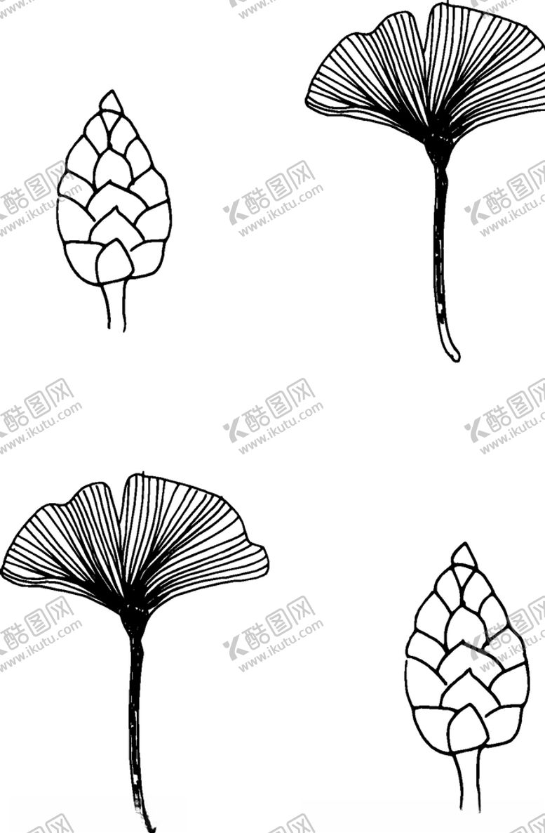 编号：64057310161551391154【酷图网】源文件下载-黑白简约线条植物绘画