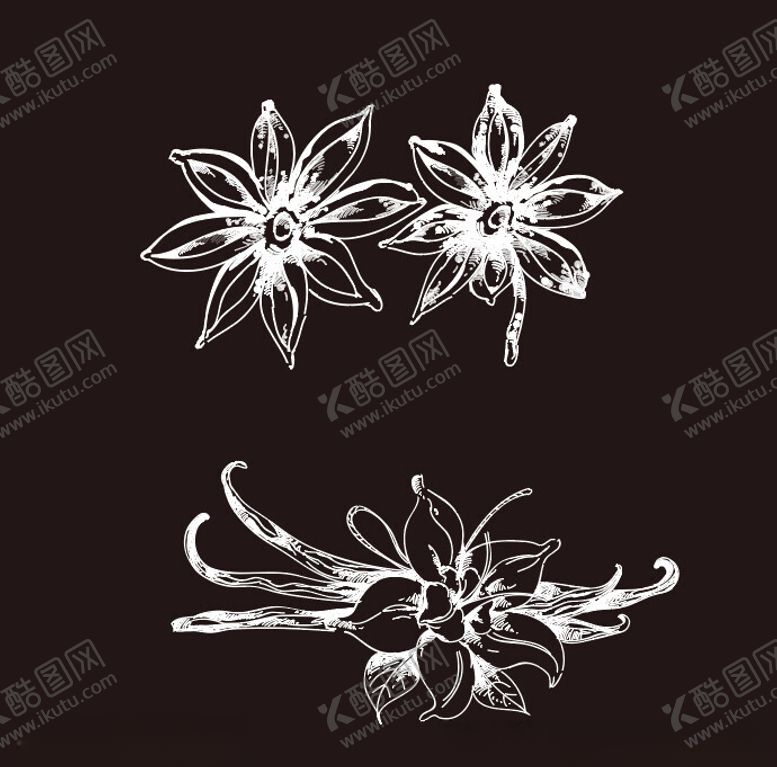 编号：38416702191852252473【酷图网】源文件下载-八角和花