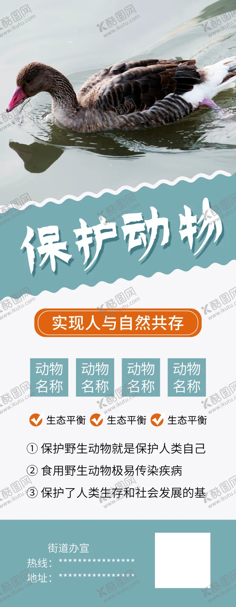 编号：23749109180559417316【酷图网】源文件下载-保护动物