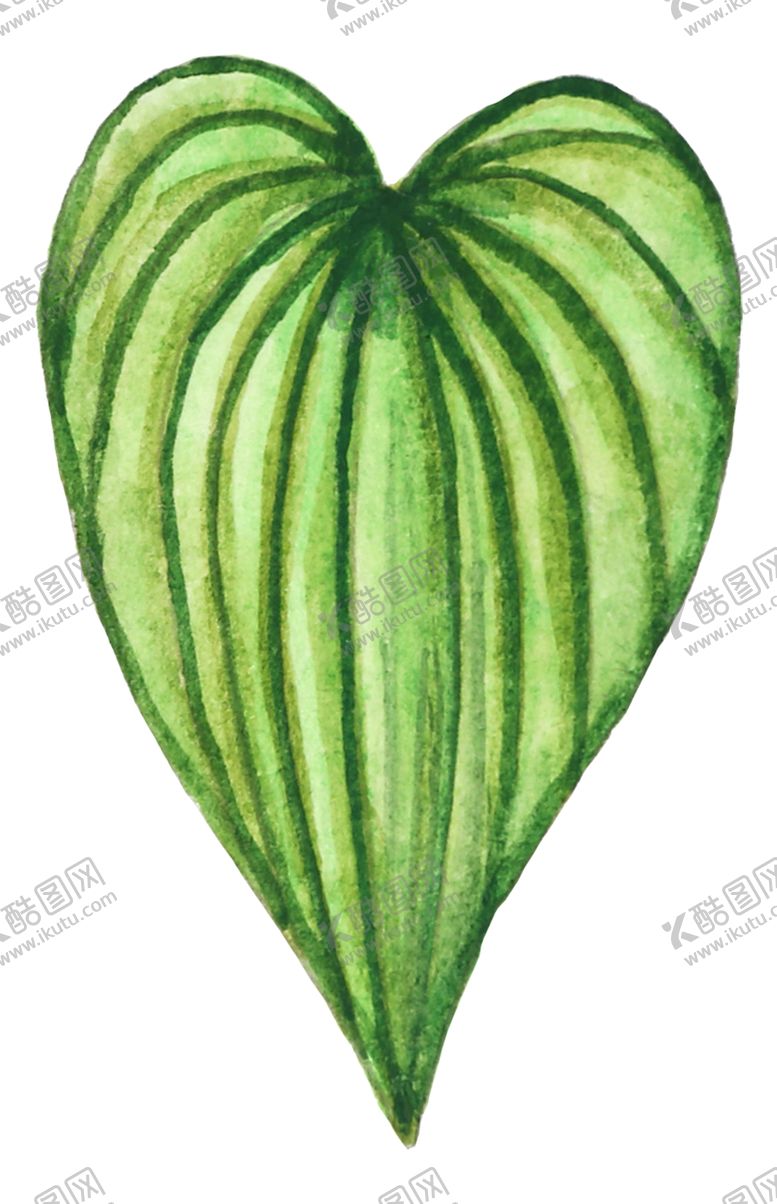 编号：31046209221124051597【酷图网】源文件下载-夏日水彩植物装饰图案