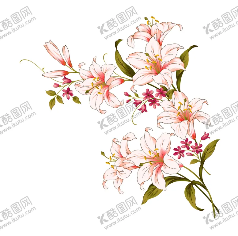 编号：39349409131439092894【酷图网】源文件下载-百合花