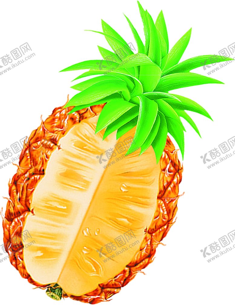 编号：75382509270406288640【酷图网】源文件下载-菠萝