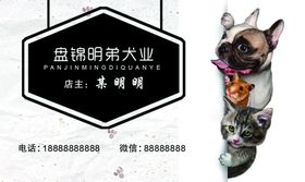 宠物名片