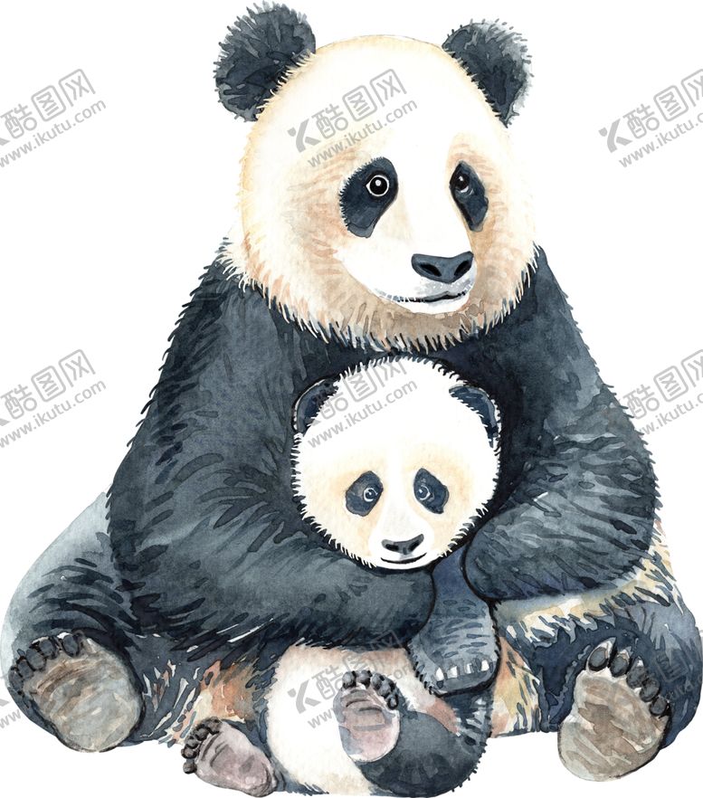 编号：28196010081912407357【酷图网】源文件下载-熊猫母子