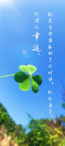 幸运四叶草