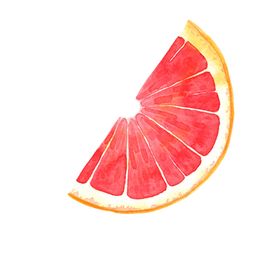 水果葡萄画册包菜