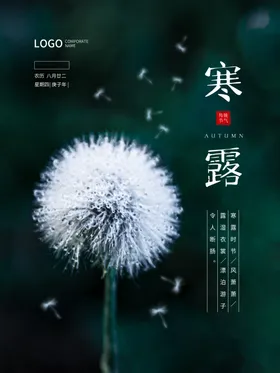 二十四节气之寒露蓝色展板海报