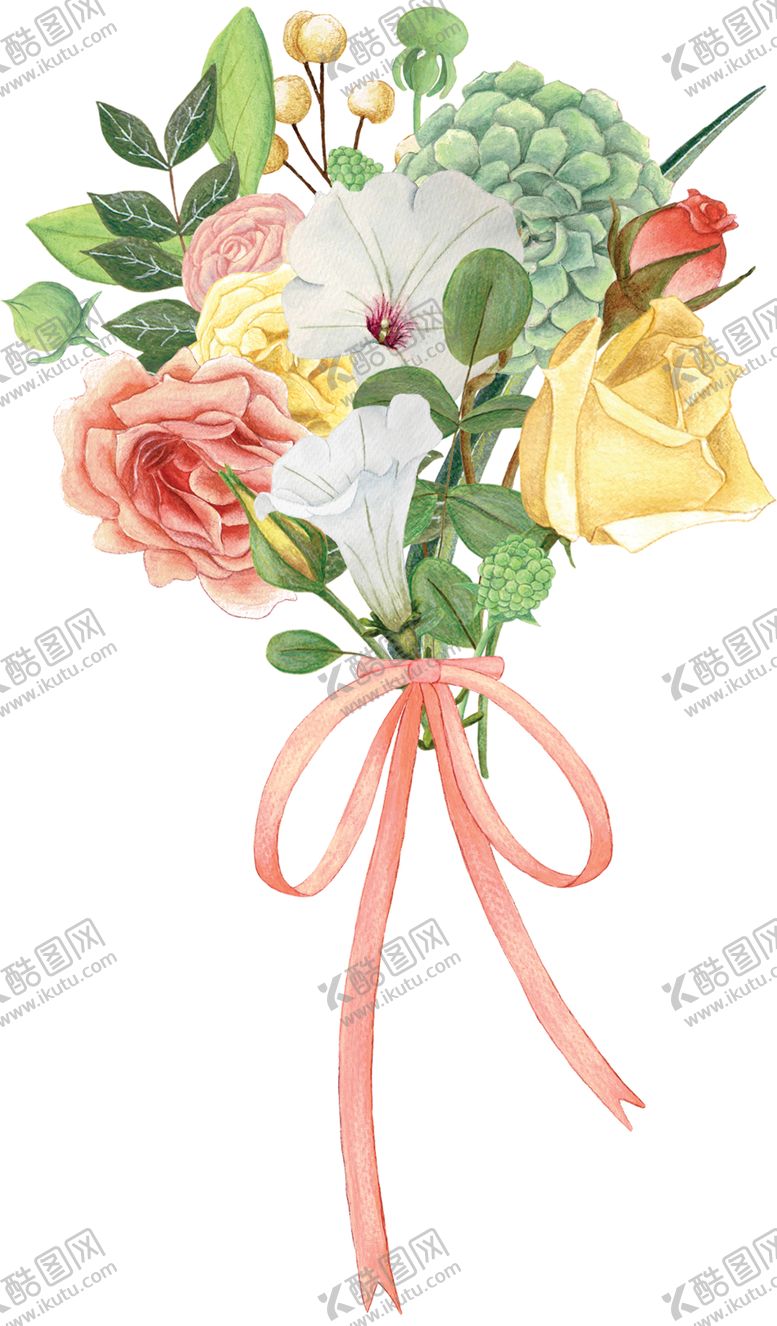 编号：66117910201129266240【酷图网】源文件下载-手绘植物