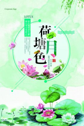 荷花海报          