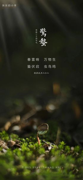惊蛰节气海报