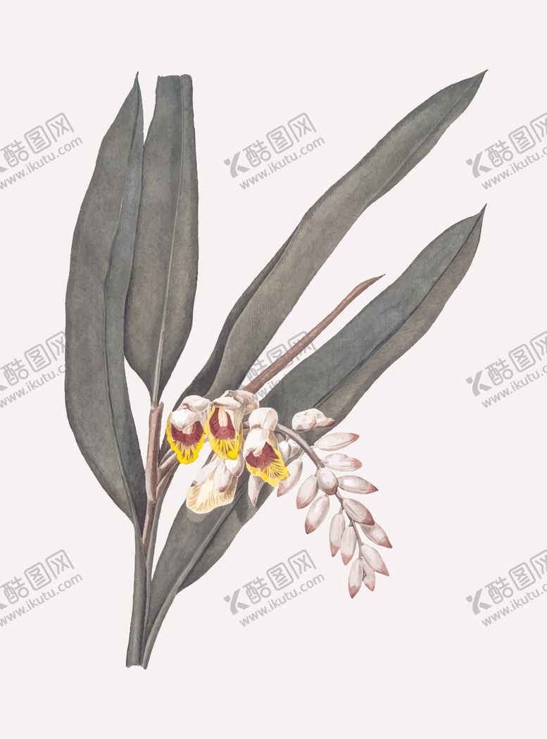 编号：14546310221432189727【酷图网】源文件下载-花纹