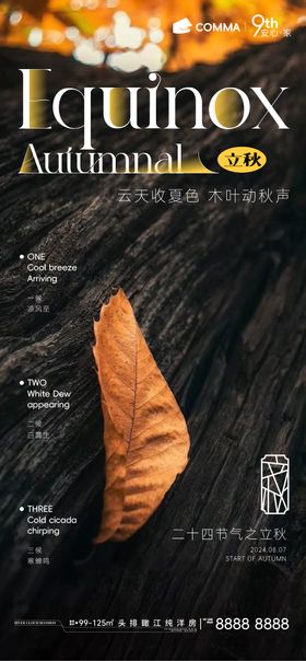 秋分落叶海报