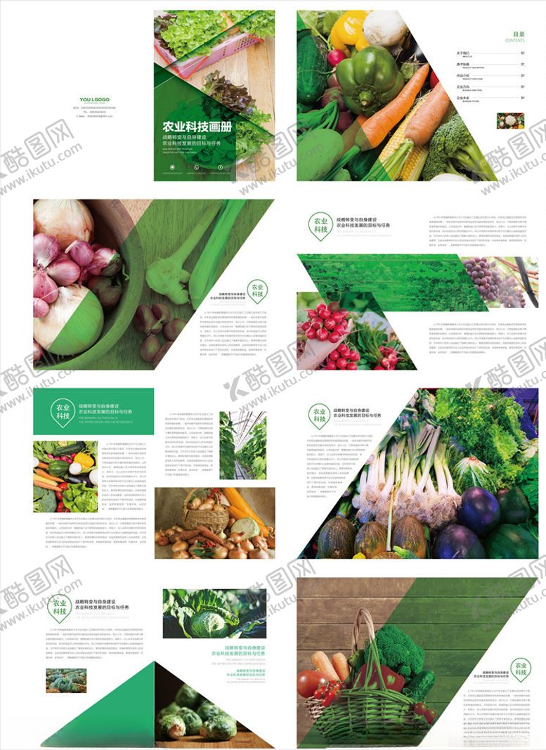 编号：38165109280538068828【酷图网】源文件下载-环保画册