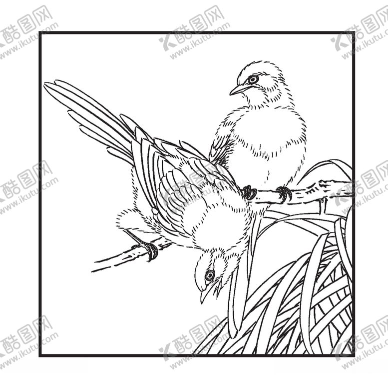 编号：32728209201936438868【酷图网】源文件下载-喜鹊