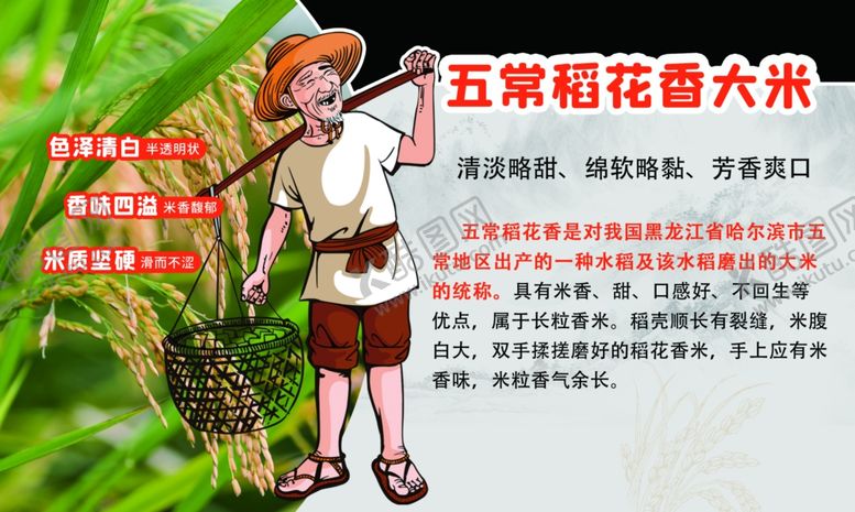 编号：55574311261657278222【酷图网】源文件下载-五常大米